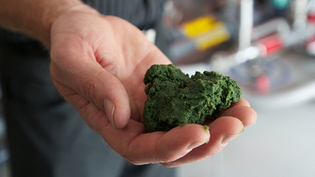 Algae biomass is a versatile feedstock for food, feed, and industrial bioproducts.