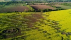 A canola field is seen in this aerial photograph taken above Orangeville, Ontario, May 30, 2017