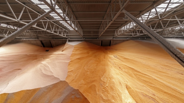 Corn stores sit inside a storage silo at the new grain terminal, operated by Cargill Inc. and M.V. Cargo, at Yuzhny Port in Yuzhny, Ukraine, on Tuesday, Nov. 13, 2018. Top commodity traders including Cargill and Bunge Ltd. are investing heavily in Ukraine ports as record harvests in the fourth-biggest exporter of grains make the nation increasingly competitive in world markets. 