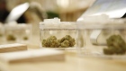 Cannabis buds sit on display during a media preview event at the HOBO Recreational Cannabis Store in