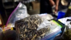 A vendor bags psilocybin mushrooms at a pop-up cannabis market in Los Angeles on Monday, May 6, 2019