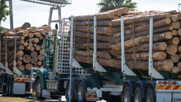 Expensive lumber makes a return amid supply cuts, labour shortages