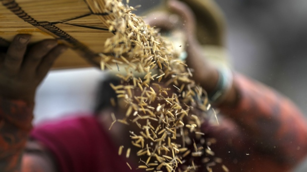 Workers clean rice paddy at an Agricultural Produce Market Committee (APMC) wholesale market in Jalandhar, Punjab, India, on Saturday, Jan. 21, 2017. India’s inflation is below the mid-point of the central bank's target, the government is likely to achieve its fiscal deficit target of 3.5 percent of GDP, monsoon-sown food grain production is expected to be the highest in at least 14 years and revenue is expected to surge because of a tax amnesty and the cash ban. Photographer: Dhiraj Singh/Bloomberg
