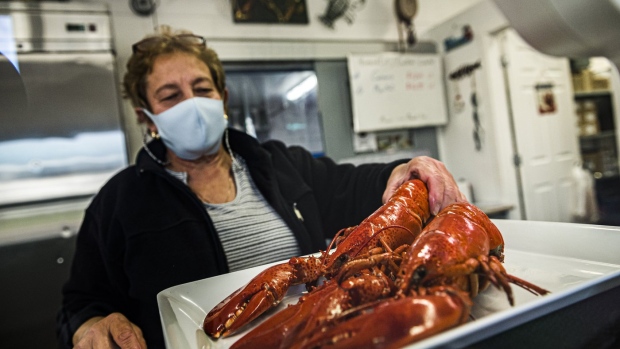 'Our lobsters are gold plated now': Atlantic Canada lobster exports, prices soar
