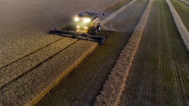 This year's harvest under possible threat of Canada's supply chain shortcomings