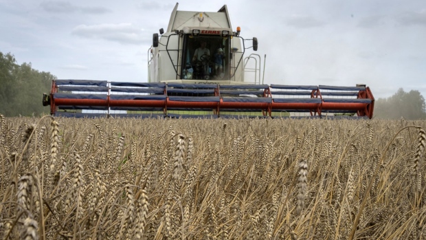 Wheat futures jump as Russia pulls out of Black Sea agreement