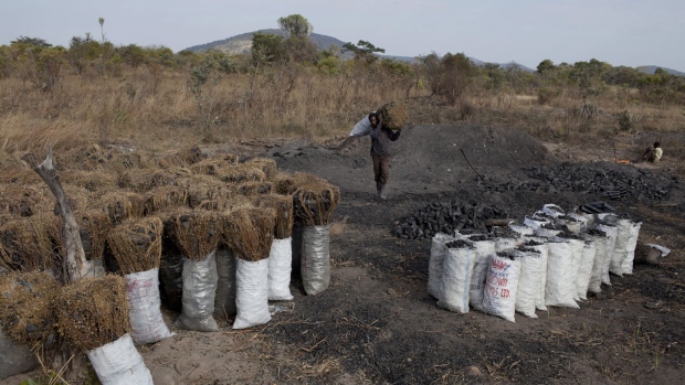 <p>A man carries a bag of charcoal at a charcoal production site outside Lusaka, Zambia. </p>