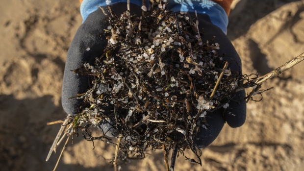 A municipal worker displays plastic pellets collected during a cleanup operation on Anguieiro beach in Coruna, Spain, on Jan. 11. Photographer: Brais Lorenzo/Bloomberg