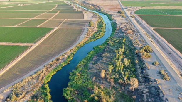 <p>The Colorado River near Yuma, Arizona.</p>