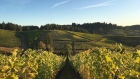 Oregon winery