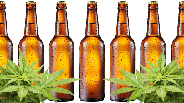 Beer and cannabis 