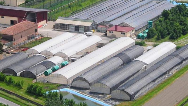 Crop Intrastructure’s 87, 120 square foot greenhouse facility in Italy.