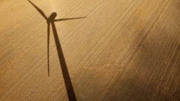 A wind turbine casts a shadow over wheat fields. 