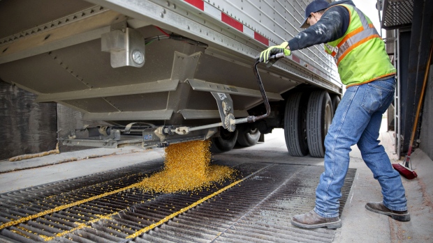 A worker unloads corn from a grain truck at the Michlig Grain LLC elevator in Sheffield, Illinois, U.S., on Tuesday, Oct. 2, 2018. Having all three North American countries agree on a trade deal has given traders and farmers reassurance that some flows of agricultural goods won't be disrupted, particularly to Mexico, a major buyer of U.S. corn, soybeans, pork and cheese. 
