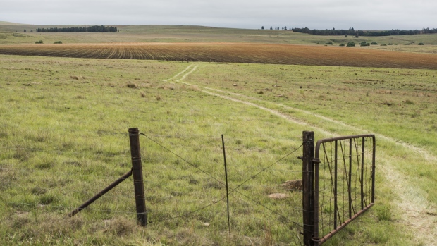 A track leads across land in Mpumalanga, South Africa. Photographer: Waldo Swiegers