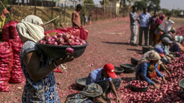 Workers sort onions at the Agriculture Produce Market Committee (APMC) wholesale market in Lasalgaon, Maharshtra, India, on Wednesday, Jan 23, 2019. Speculation is swirling that Modi’s budget includes a cash transfer program for farmers entailing an additional spending of 700 billion rupees ($9.8 billion), support for small businesses and some reprieve for taxpayers. 