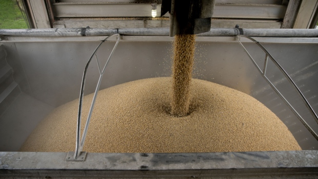 Soybeans are loaded into a truck at a grain elevator in Ohio, Illinois, U.S., on Tuesday, June 19, 2018. A rout in commodities deepened as the threat of a trade war between the world's two biggest economies intensified, hitting markets from steel to soybeans. Soybean futures were among the biggest losers, falling as much as 7.2 percent to the lowest in more than two years. 