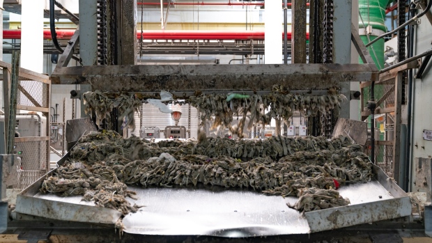 Wipes that have been pulled from the water by a screen and scrape machine at the Newtown Creek Wastewater Resource Recovery Center. Photographer: David Dee Delgado/Bloomberg