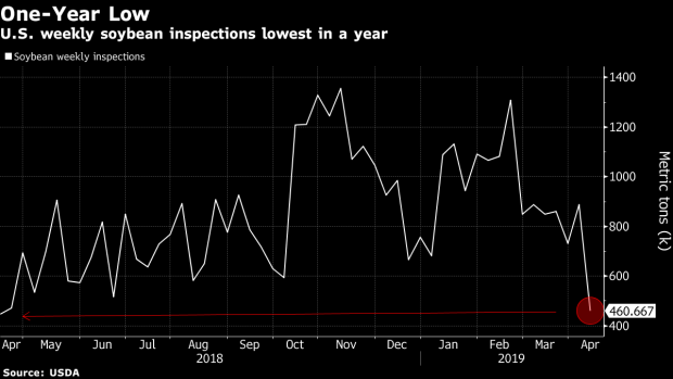 BC-US-Soybean-Shipments-Hit-One-Year-Low