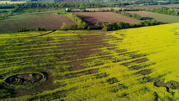 A canola field is seen in this aerial photograph taken above Orangeville, Ontario, May 30, 2017