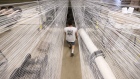 An employee loads up new rolls of material onto racks at a carpet manufacturing facility in Bloomsburg, Pennsylvania. 