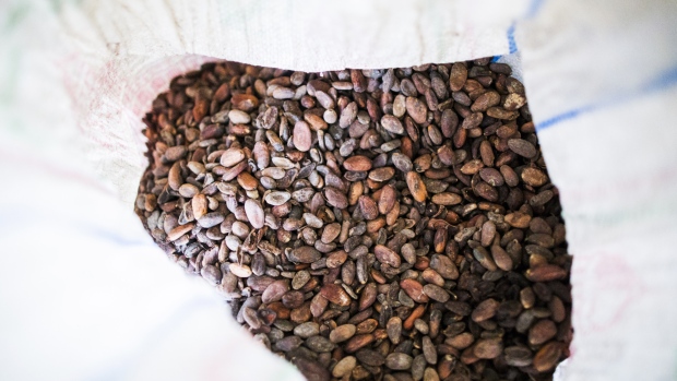 Cocoa beans sit in a bag at a wholesale store in Vannappuram village in the district of Idukki, Kerala, India, on Friday, Aug. 24, 2018. Kerala has received 42 percent more monsoon rain than normal since June 1, according to the India Meteorological Department, compared with a deficit of 8 percent for the entire country. 