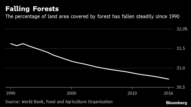BC-Europe-Criticized-for-Not-Doing-Enough-to-Slow Deforestation