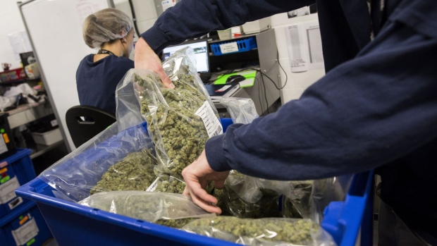 An employee sorts bags of marijuana for shipment at the Canopy Growth Corp. facility in Smith Falls, Ontario, Canada, on Tuesday, Dec. 19, 2017. Canadian medical marijuana is setting the stage to go global. The country's emerging legal producers have a chance to seize opportunities in other countries that could make them worldwide leaders, according to Canopy Growth Corp. Chief Executive Officer Bruce Linton. 