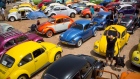 Volkswagen Beetles 