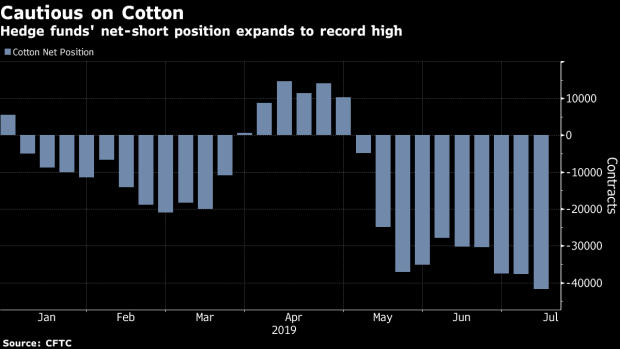 BC-Hedge-Funds-Make-Record-Bearish-Cotton-Bet-Before-Prices-Tumble