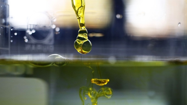 A sample of water-soluble full spectrum cannabidiol (CBD) oil is dropped into water inside the laboratory. 