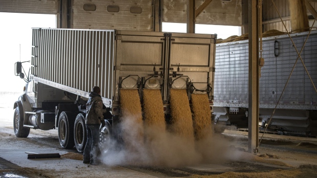 A driver unloads corn from a truck at the Poet Biorefining facility in Jewell, Iowa, U.S., on Wednesday, Feb. 21, 2018. 
