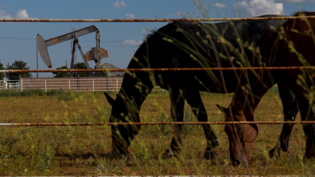 Horses graze in front of a pumpjack near Midland, Texas, U.S., on Friday, Aug. 24, 2018. As the Permian Basin production approaches that of Iran—the third-largest OPEC member—growth has begun to slow, throttled by shortages of pipelines, workers, power, and roads. 