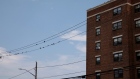 Birds sit on a wire next to the New York City Housing Authority's Ocean Bay Apartments Bayside compl