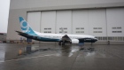 Boeing 737 Max 9. Bloomberg/David Ryder