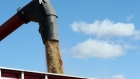 Oats are loaded into a grain truck during harvest near Dacotah, Manitoba. Bloomberg
