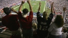 Fans cheer on the New England Patriots against the New York Giants during Super Bowl XLII on February 3, 2008 .