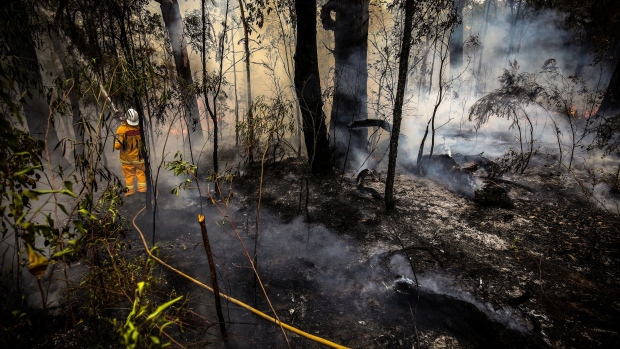 A New South Wales (NSW) Rural Fire Service volunteer douses a fire during back-burning operations in bushland near the town of Kulnura, New South Wales, Australia on Thursday, Dec. 12, 2019. The smoke blanketing Sydney is a “public health emergency,” according to a coalition of Australian doctors and researchers who say climate change has helped fuel the wildfires that have produced unprecedented haze. 