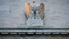 An eagle statue adorns the outside the U.S. Federal Reserve building in Washington D.C. 