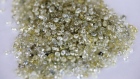 Rough diamonds sit on a sorting table