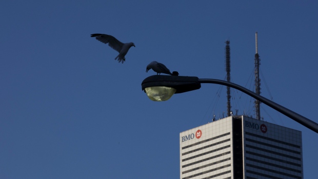 A bird flies near the Bank of Montreal (BMO) tower in Toronto, Ontario, Canada, on Sunday, Aug. 4, 2019. The office vacancy rate is expected to more than double in Toronto and Vancouver by 2023 as companies are lured to shiny new buildings, according to research firm CoStar Group Inc. Photographer: Brent Lewin/Bloomberg