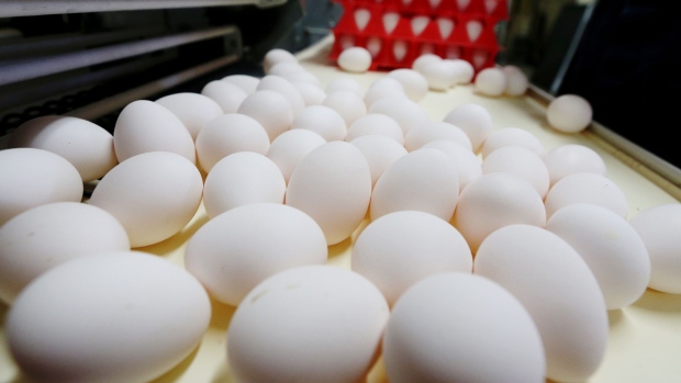 Eggs sit in a tray on a farm near Winnipeg, Manitoba, Canada, on Wednesday, Dec. 5, 2018. Canada's minister of agriculture announced a new poultry and egg farmers working group in November to help them adjust to new trade agreements such as the United States-Mexico-Canada Agreement (USMCA). Photographer: Shannon VanRaes/Bloomberg