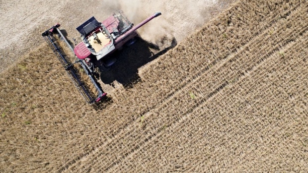 Soybeans are harvested in Princeton, Illinois. Photographer: Daniel Acker/Bloomberg