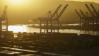 Gantry cranes stand above the APM shipping terminal in the Port of Los Angeles