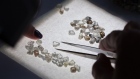 An employee sorts through a collection of rough diamonds at the United Selling Organisation of Alrosa PJSC sorting center in Moscow. Photographer: Andrey Rudakov/Bloomberg