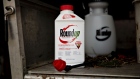 A bottle of Bayer AG Roundup brand weedkiller concentrate is arranged for a photograph in a garden shed in Princeton, Illinois, U.S., on Thursday, March 28, 2019. Bayer vowed to keep defending its weedkiller Roundup after losing a second trial over claims it causes cancer, indicating that the embattled company isn't yet ready to consider spending billions of dollars to settle thousands of similar lawsuits.