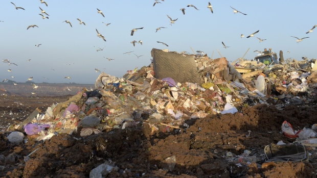 Birds fly over a landfill. Photographer: Carla Gottgens/Bloomberg