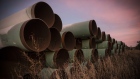 Miles of unused pipe, prepared for the proposed Keystone XL pipeline, sit in a lot on October 14, 2014 outside Gascoyne, North Dakota. (Photo by Andrew Burton/Getty Images) 