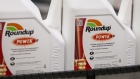 Bottles of Roundup weed killer move along the production line at the herbicide manufacturing facility.