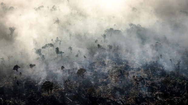 Smoke rises as a fires burn in the Amazon rainforest in the Candeias do Jamari region of Porto Velho, Brazil in 2019.